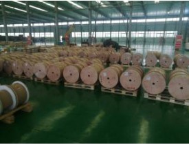 雙玻璃絲包線有哪些特征？